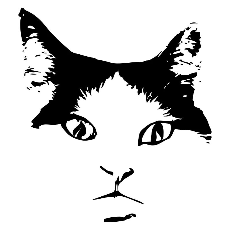 chat