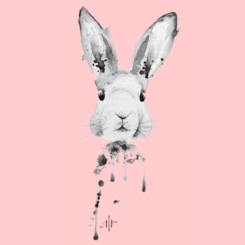 Lapin Noir Blanc
