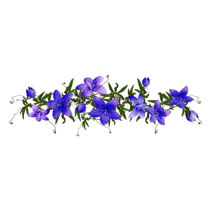 Glockenblume
