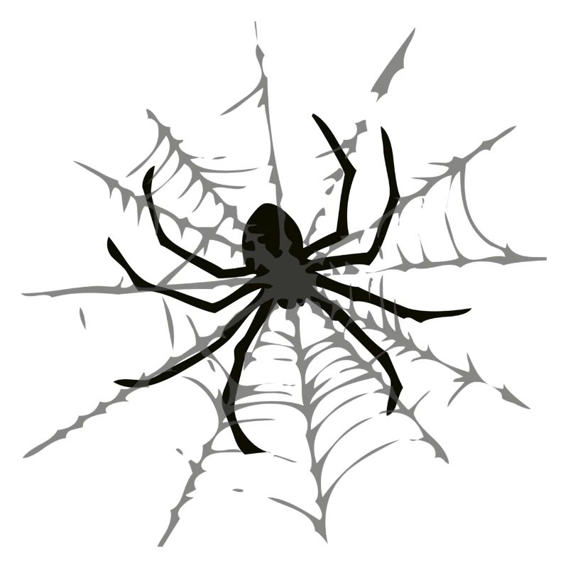 cobweb