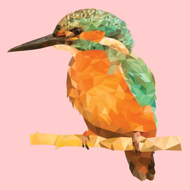 Eisvogel Polygon - Design