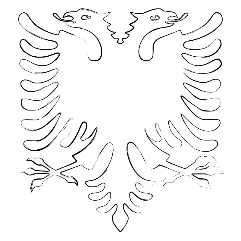 Albania | scribble