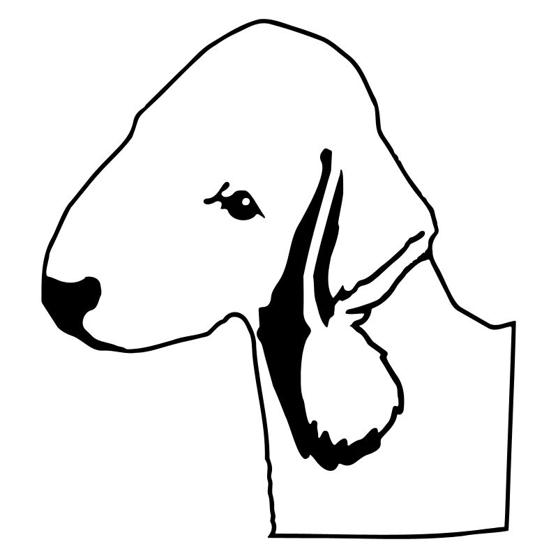 bedlington terrier