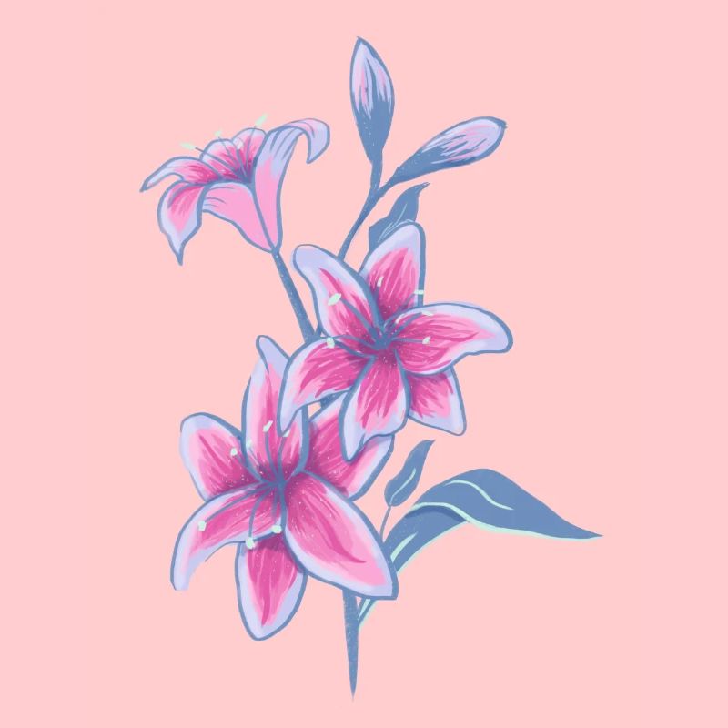 Lis