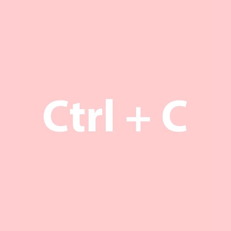 Ctrl Ctrl V Copy Paste Twins
