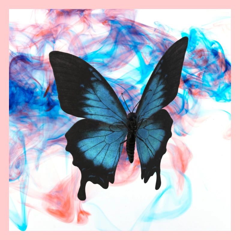 BUTTERFLY DESIGN