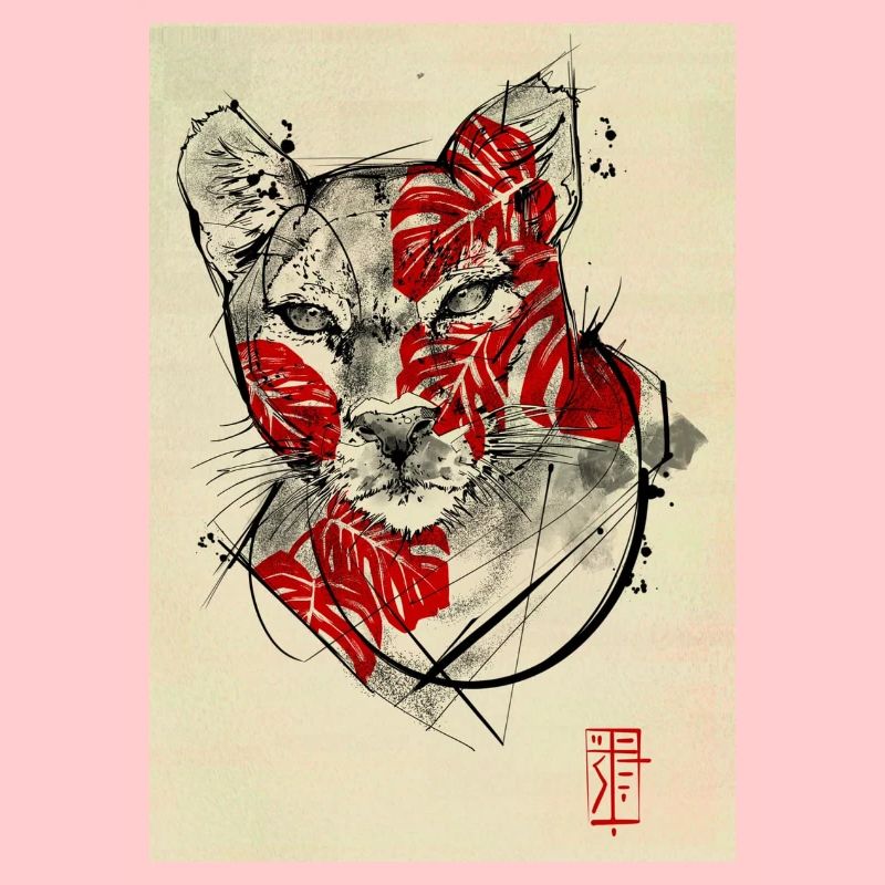 Wild Cat