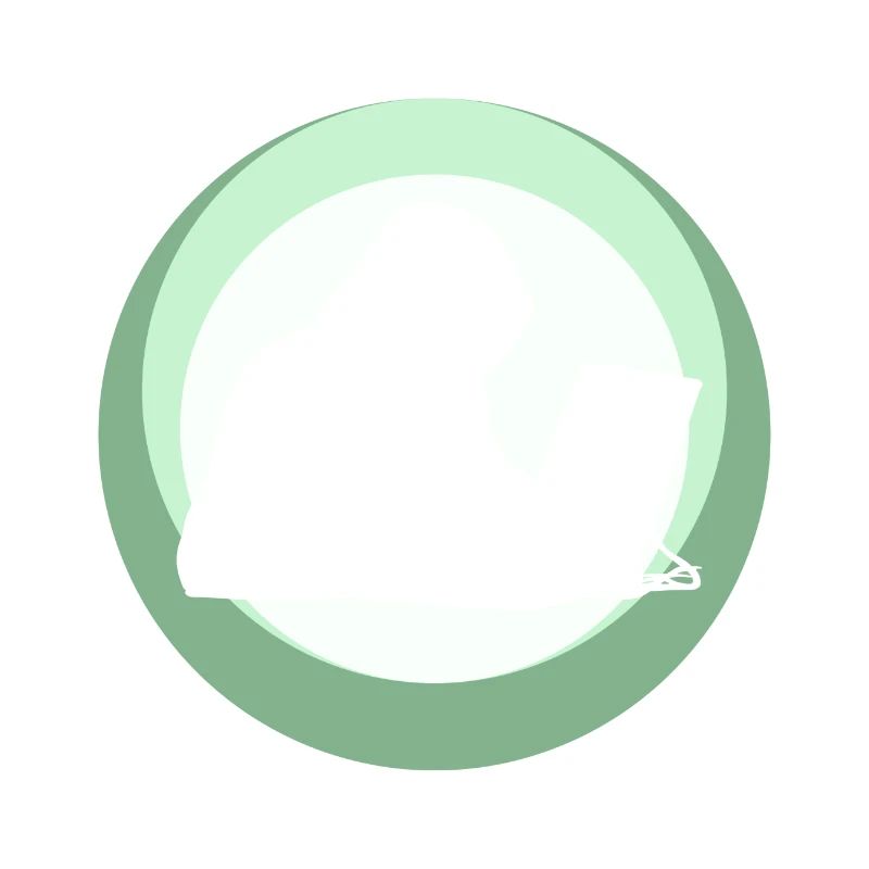 Hacker Étudiant en informatique Computer Freak