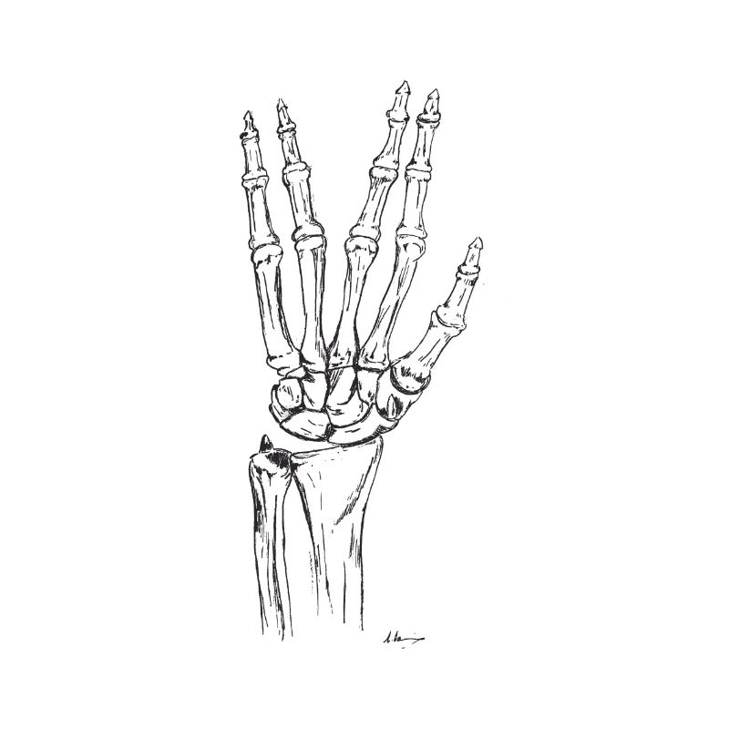 Vivi a lungo e prospera