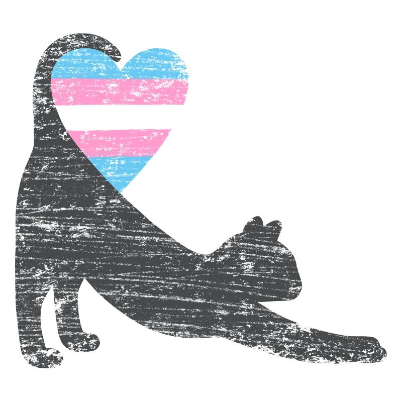 trans drapeau chat I