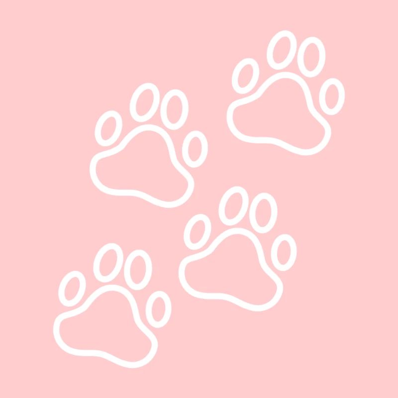 paws