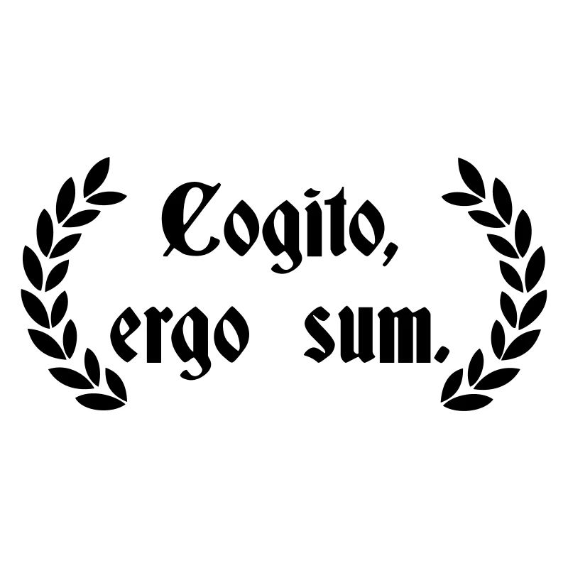 Cogito Ergo Sum - lateinischer Spruch