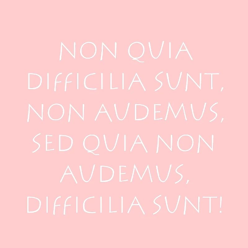 Non quia difficilia sunt non audemus