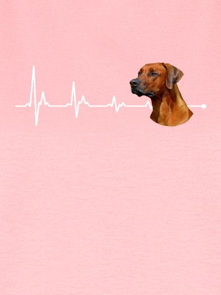 Rhodesian Ridgeback