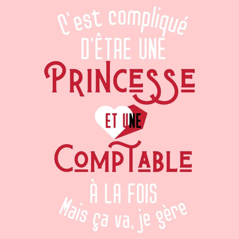 C'est compliqué d'être Une Princesse et Comptable