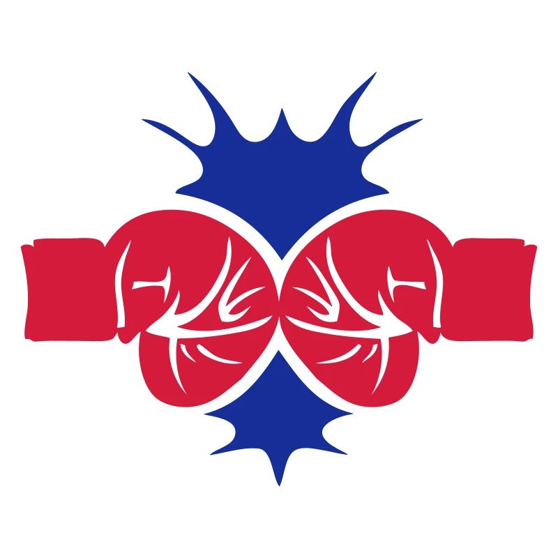 gant boxe impact 1