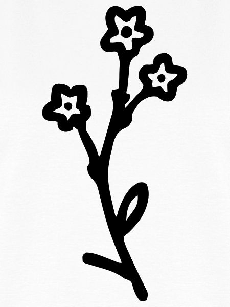 Blume 4