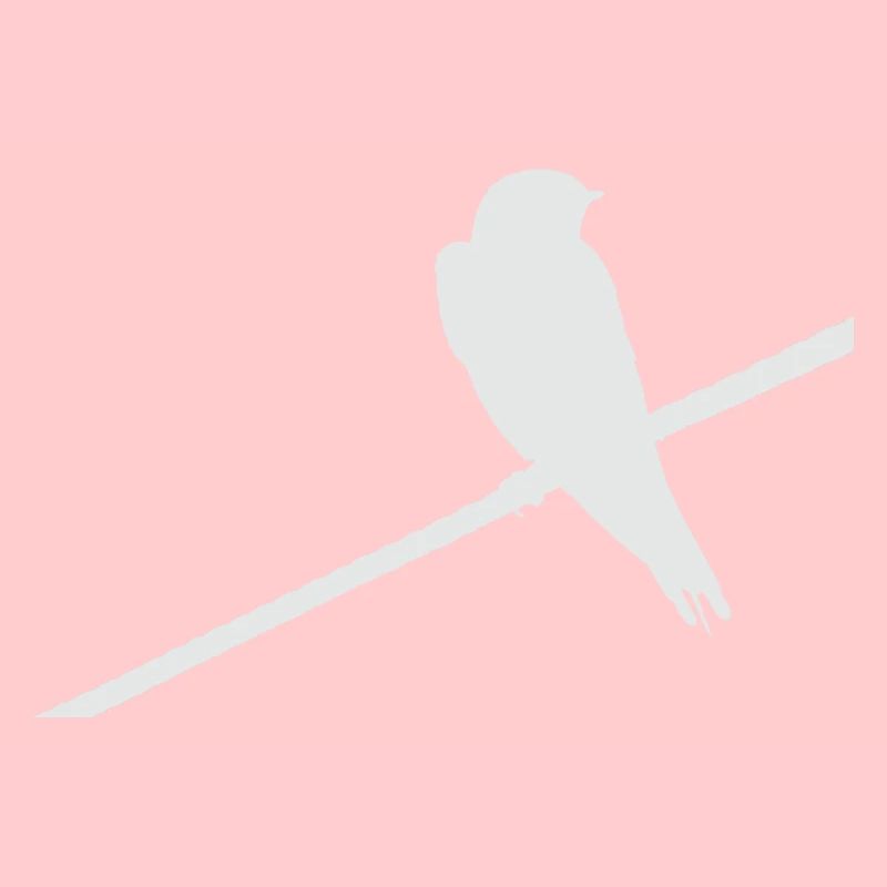 Schwalbe sur câble blanc