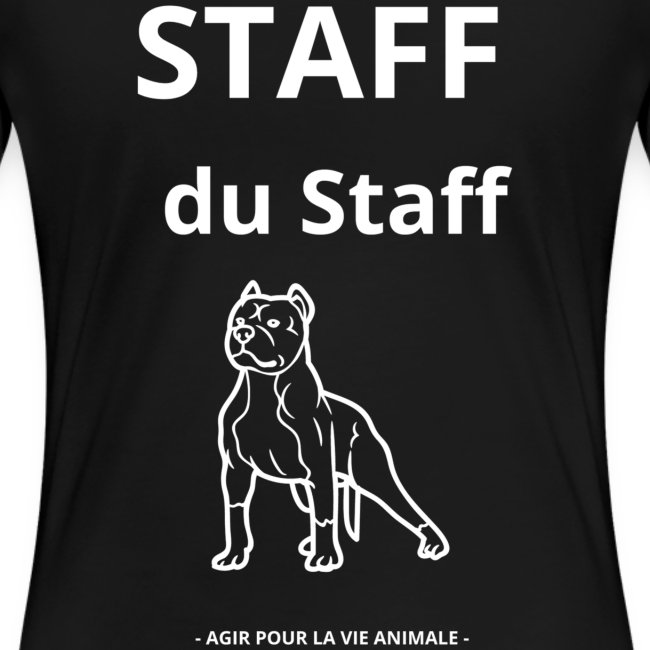Staff du Staff