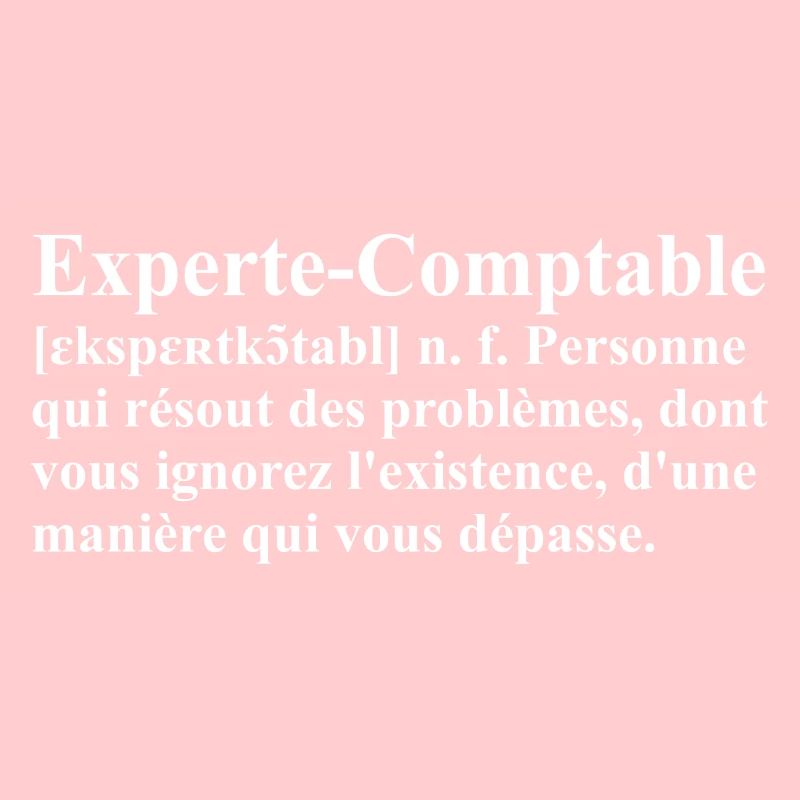 Experte-Comptable Définition