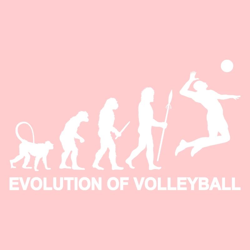 Evolution des Volleyballs