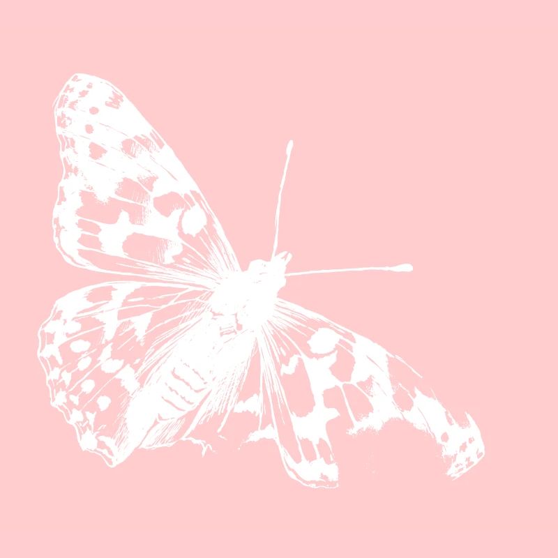 La beauté rare du papillon chardon
