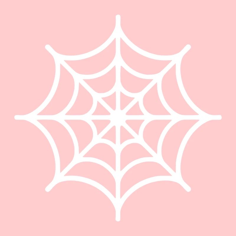 Spinnennetz Spinne