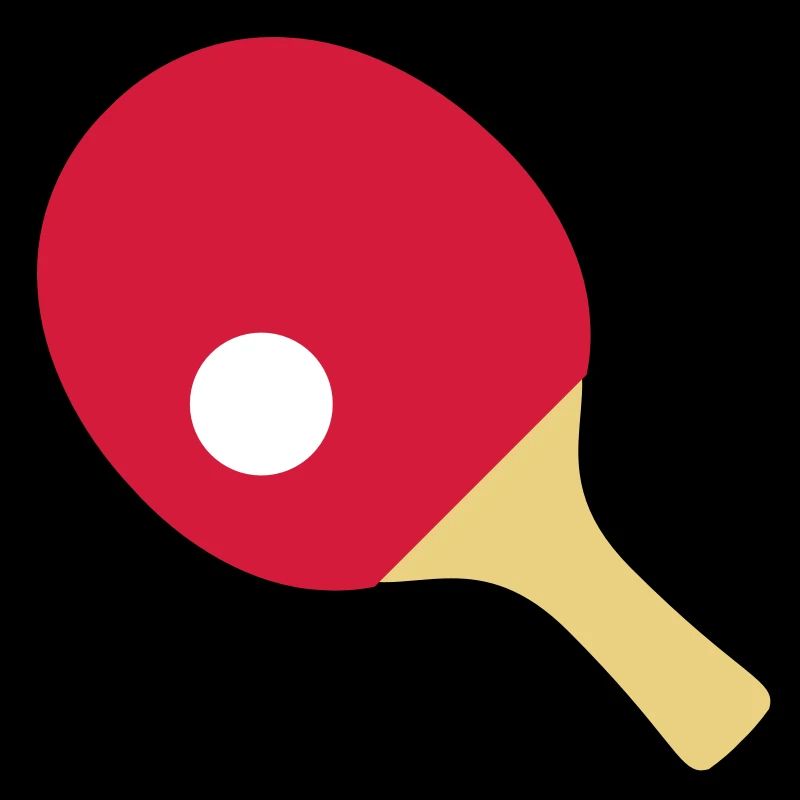 table tennis paddle