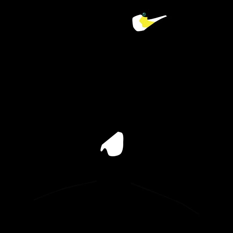 Cormorant