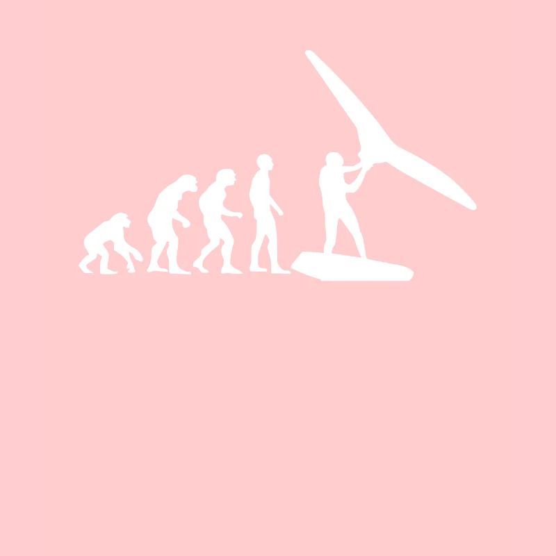 Wing Surf Evolution Wing Foil Geschenk Wingfoiler