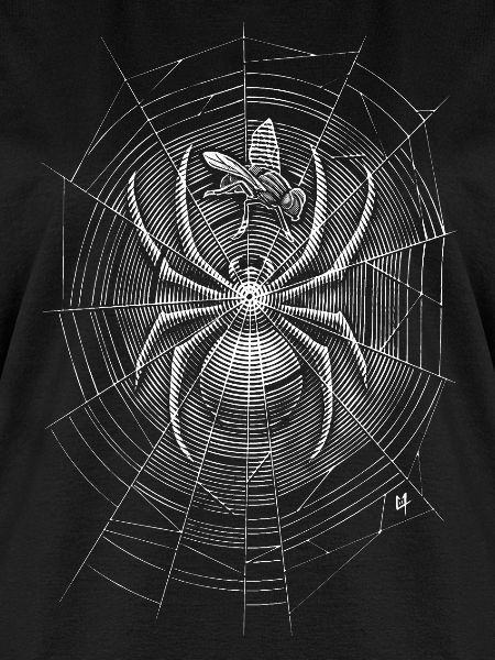 Spider Web