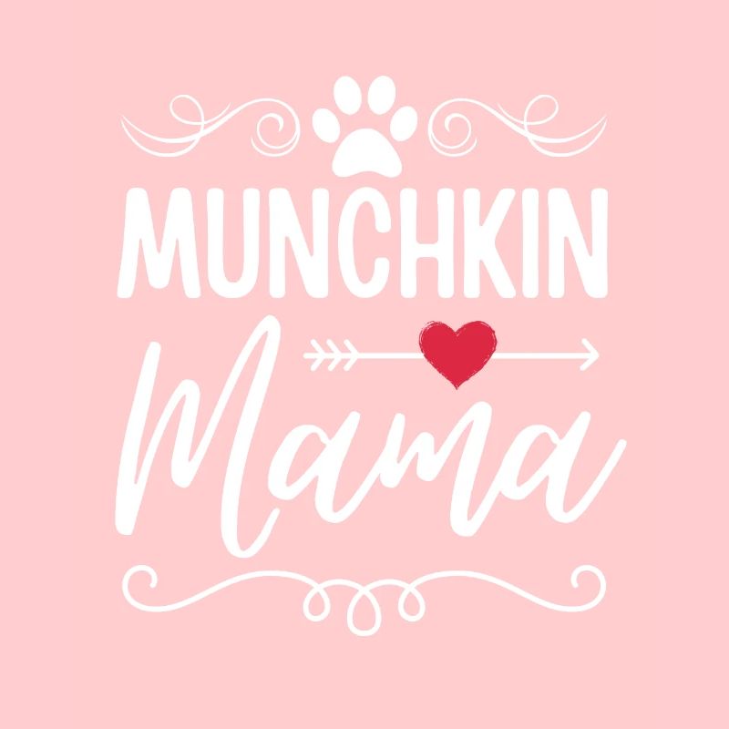 Munchkin Cat Mama Munchkin Mom