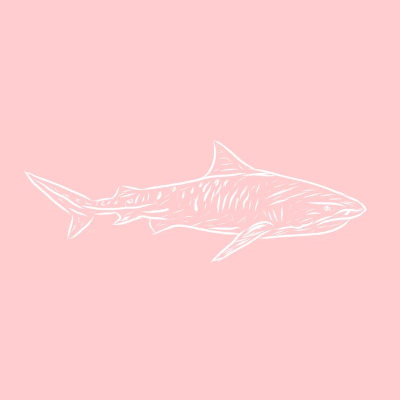 Requin