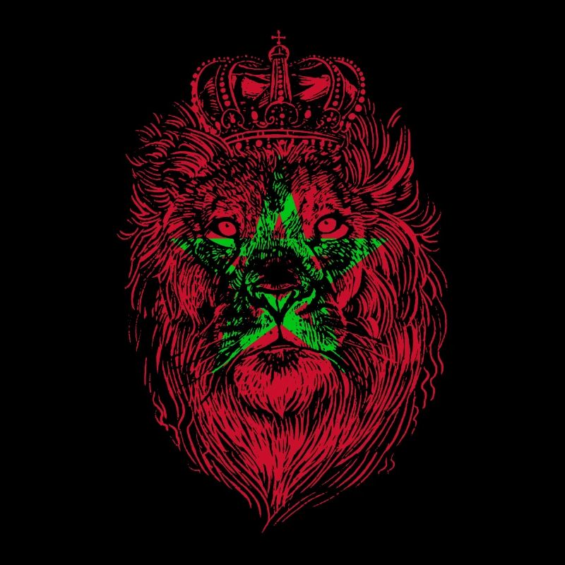 Moroccan Lion Morocco Moroccan