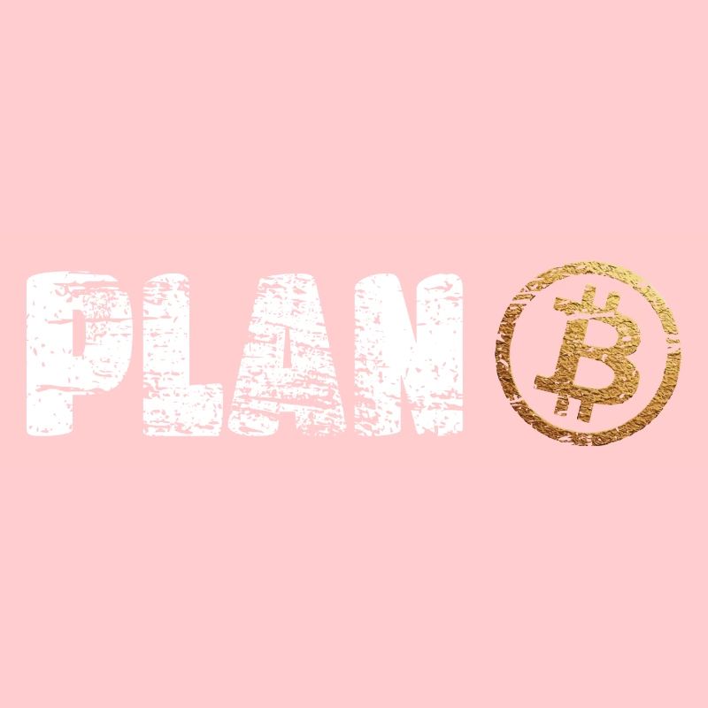 Plan B Bitcoin Krypto Crypto BTC