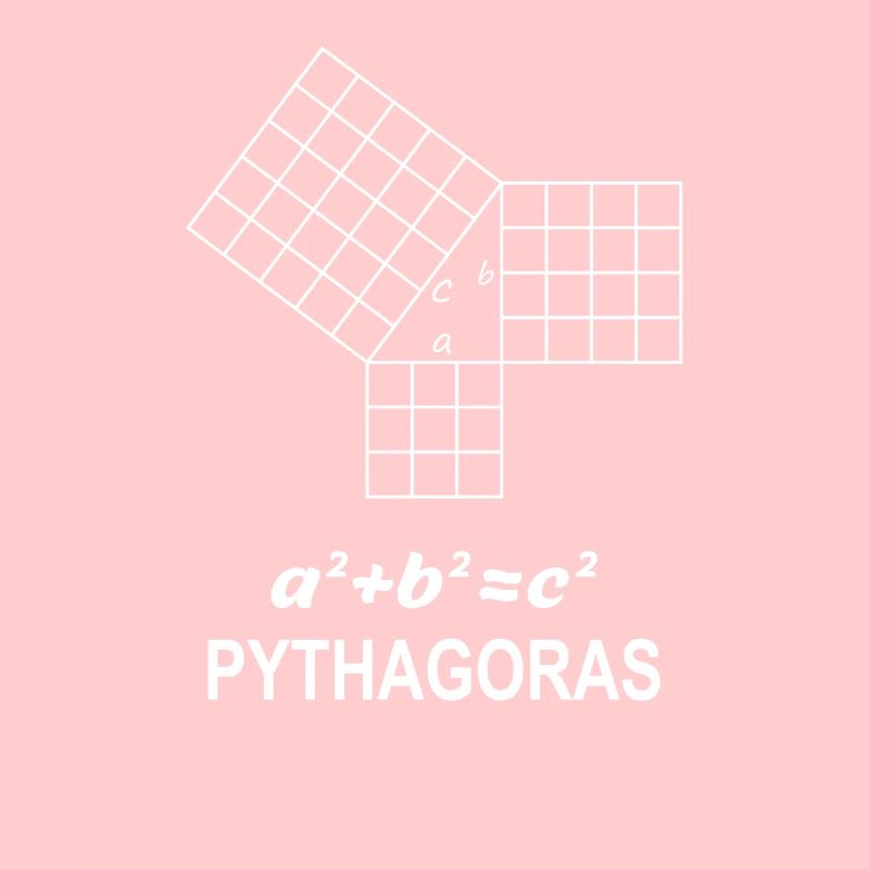 Sentence of Pythagoras Gift for Math Teacher Nerd