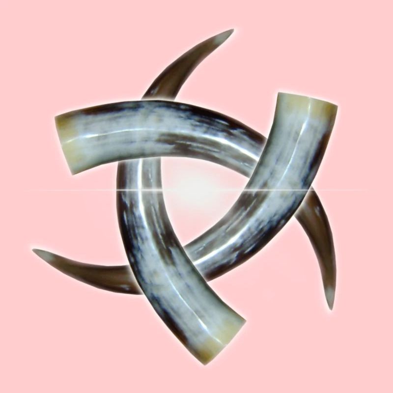 Odin symbole