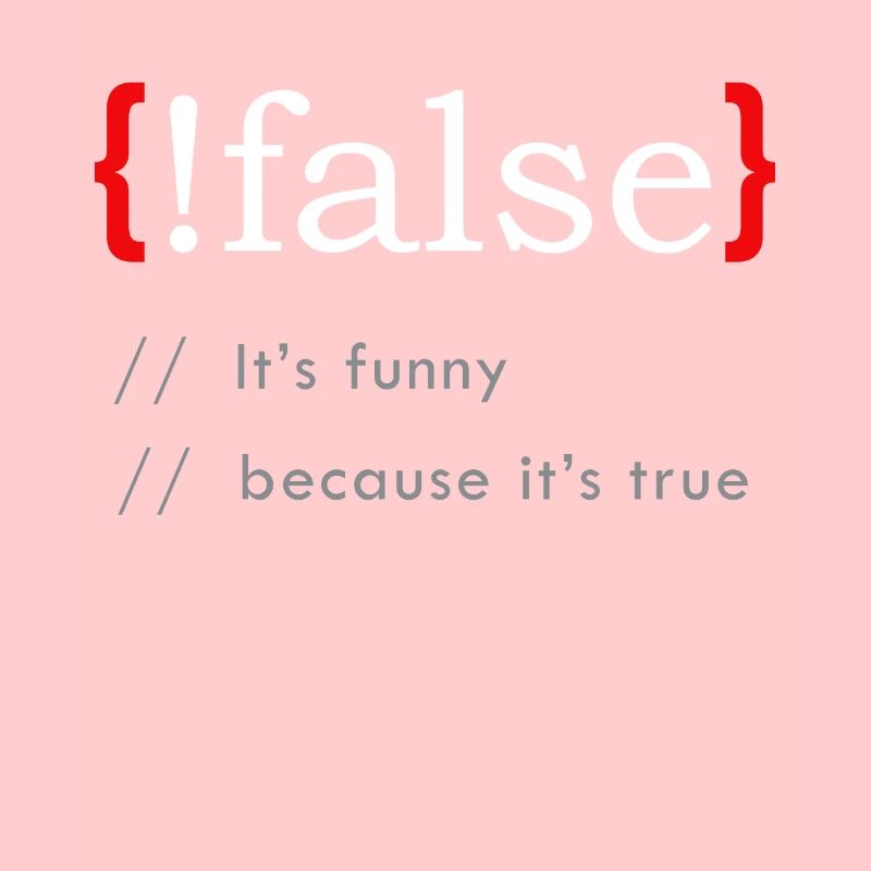 False It’s Funny Because It’s True Funny Programmi