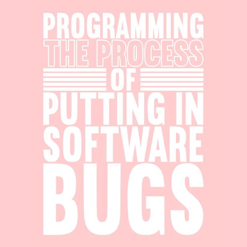 Programmeur Informaticien