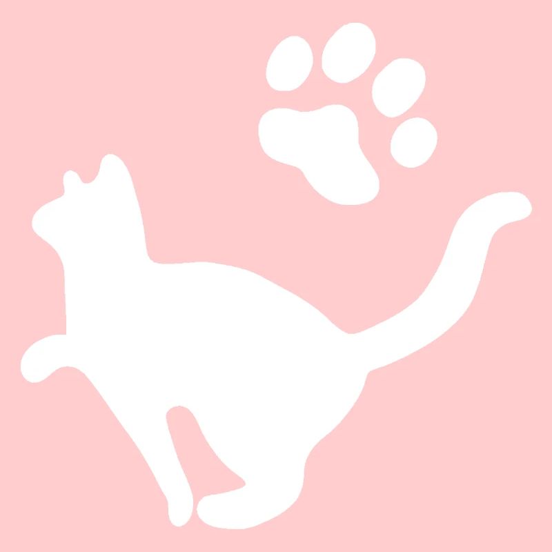 Chat Animal de compagnie