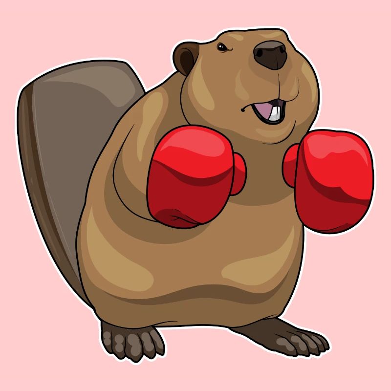 Gants de boxe Beaver Boxer