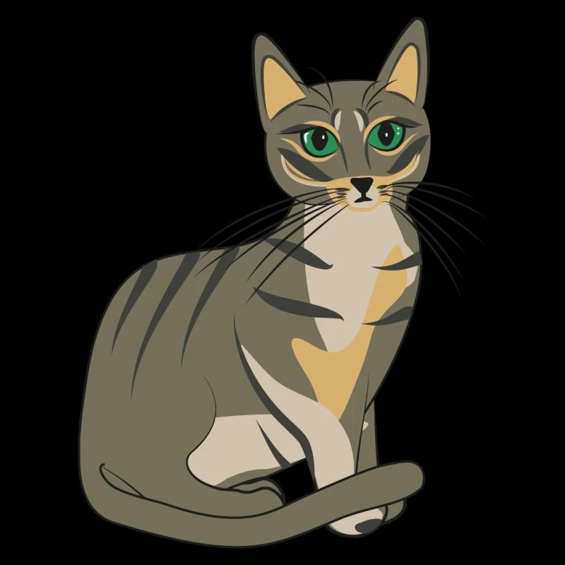 Chat