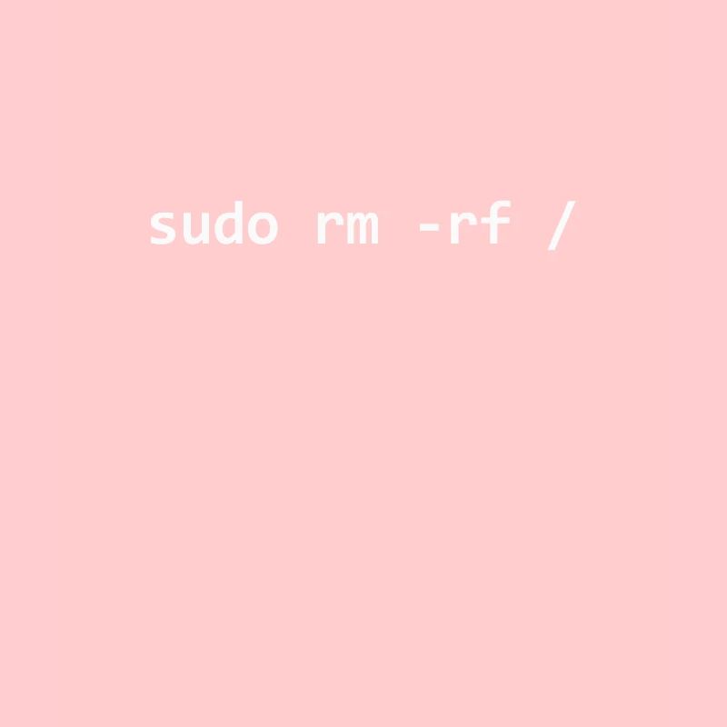 Programmeur Sudo Linux