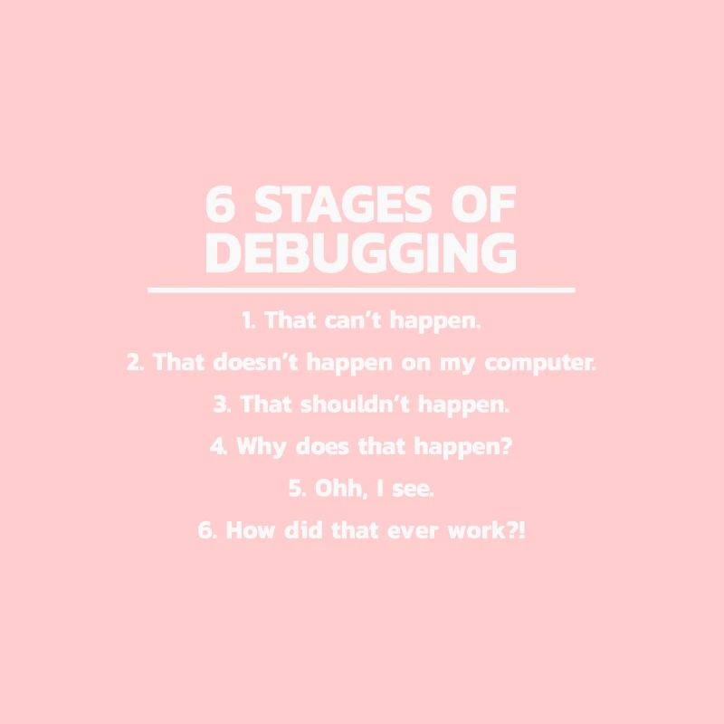 Programmer Debugging Debug