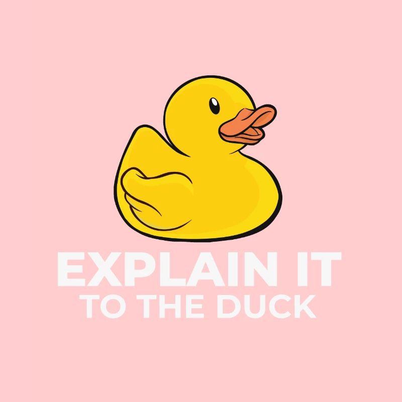 Programmer rubber duck explain it to the duck