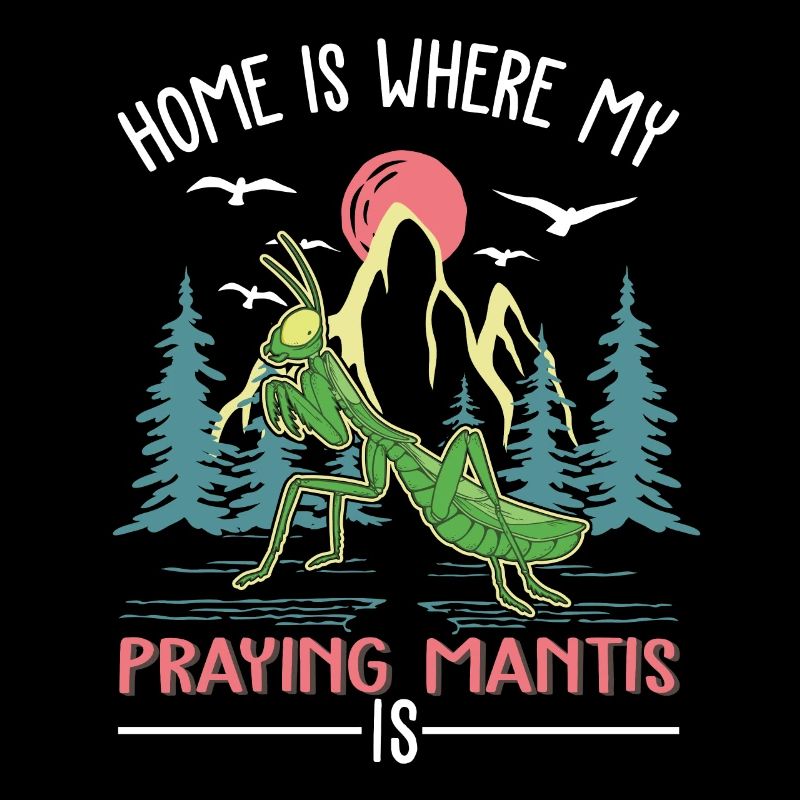 Praying mantis home mantis mantis mantis