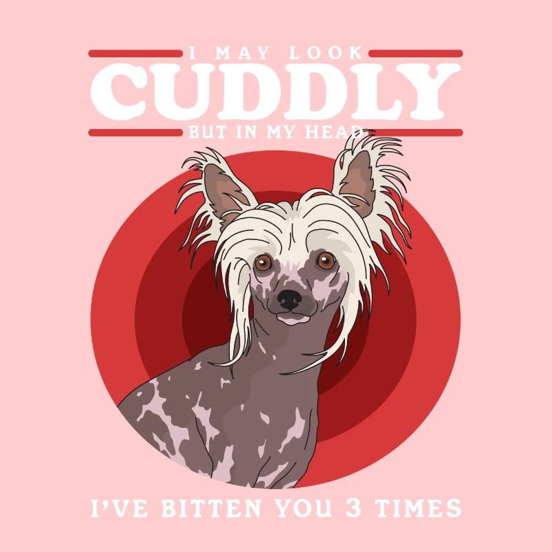 Chinese Crested Dog Chinese Crested Gift