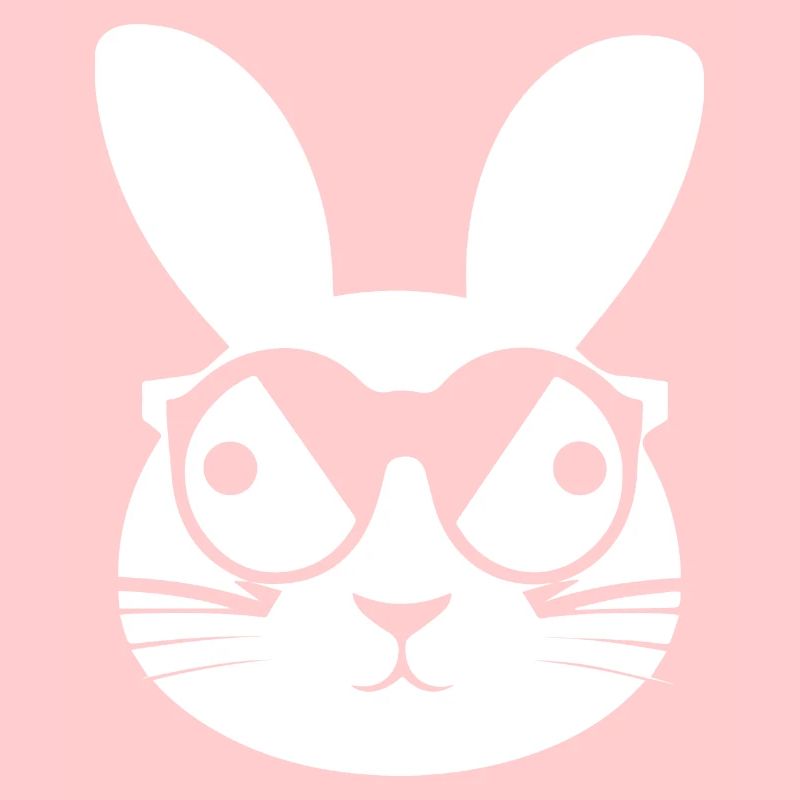 Funny Rabbit Sunglasses Cool Sunglas Rabbit
