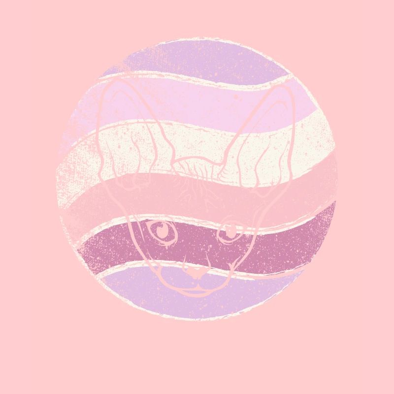 Retro Sphynx chat Vintage Sphinx chat