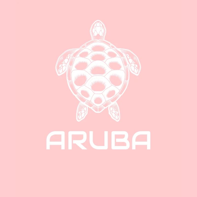 Aruba Turtle Sun Beach Vacances à la mer